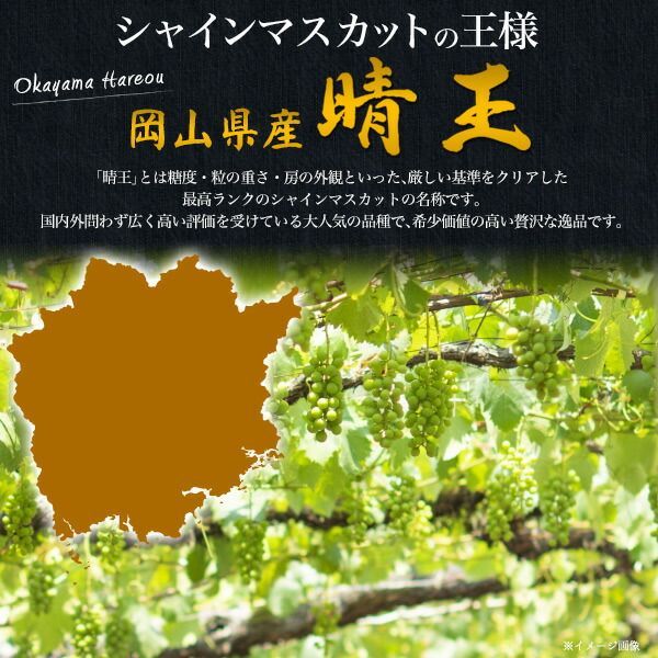 食品 種類4：約600g/2房 [予約] 送料無料 岡山県産 シャインマスカット