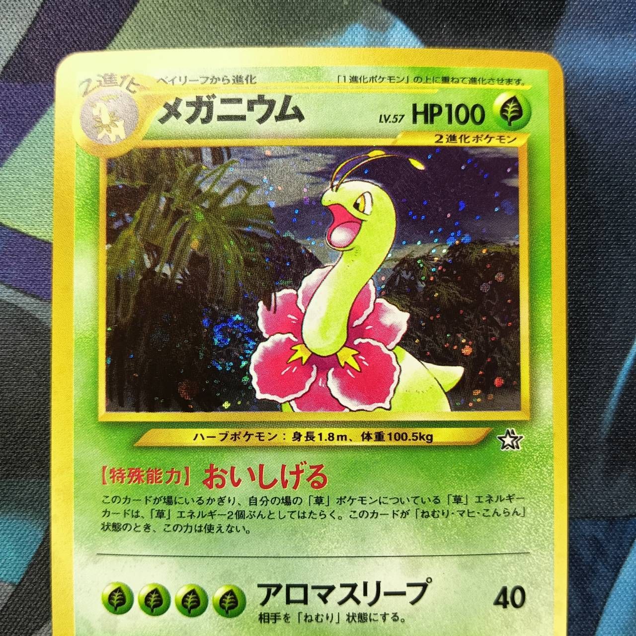 ポケモンカード　メガニウム 楽天市場】ポケモンカード メガニウムの通販