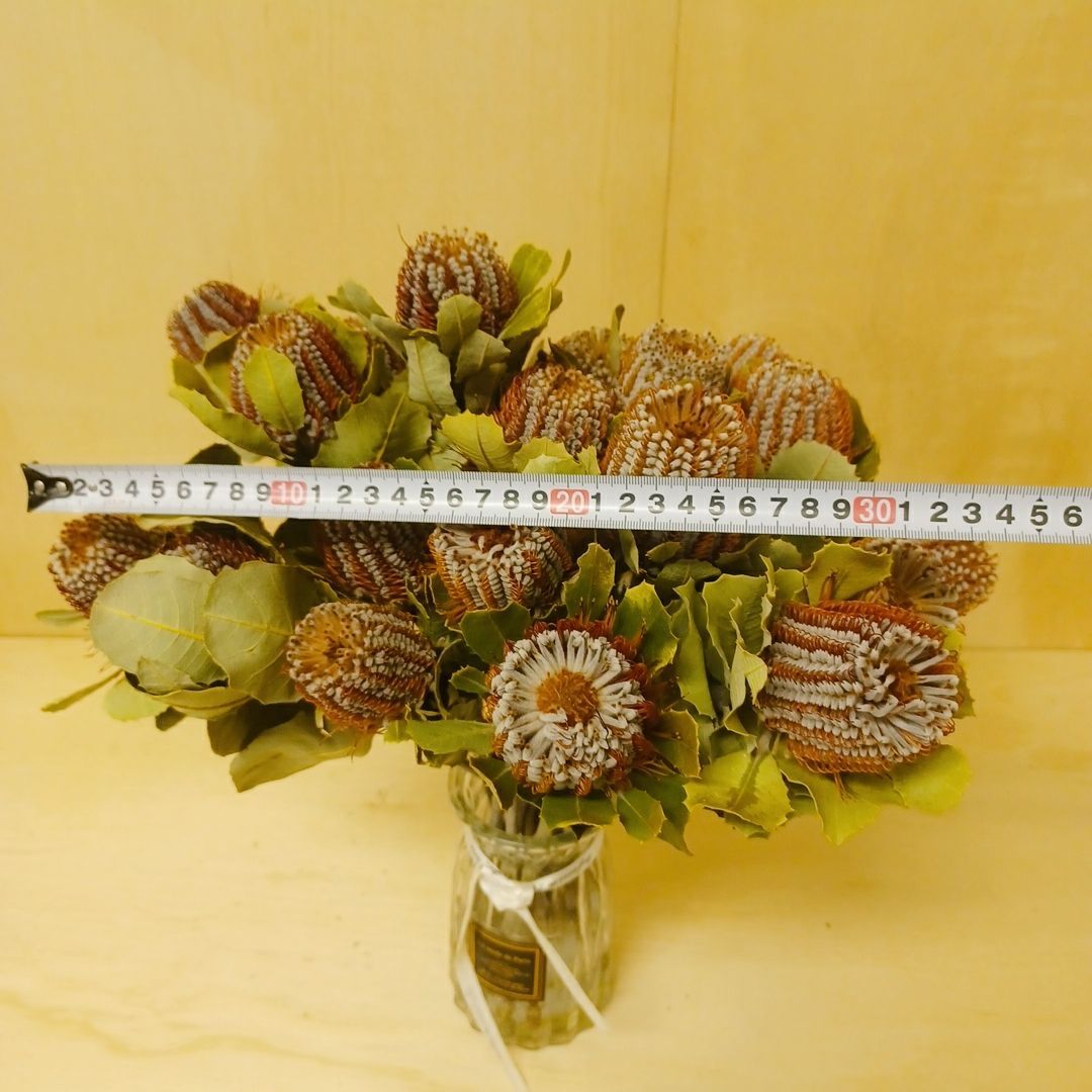 ドライフラワー☆パンパスふわふわ大きめフライングボール