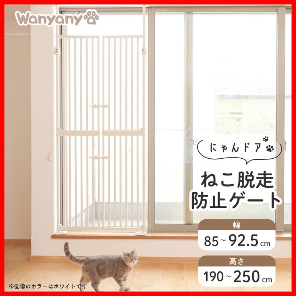 ハイタイプ