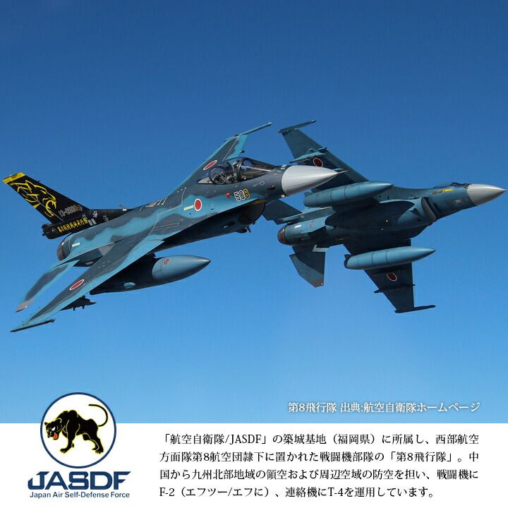 築城基地 第8飛行隊 ブラックパンサー ロービジ パッチ未開封 人気定番