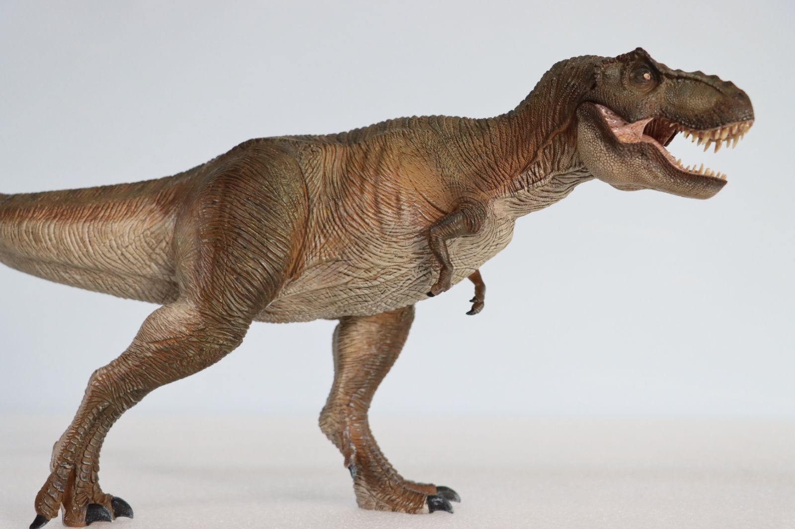 Nanmu 本心楠改 Alpha ティラノサウルス Tレックス 恐竜 フィギュア