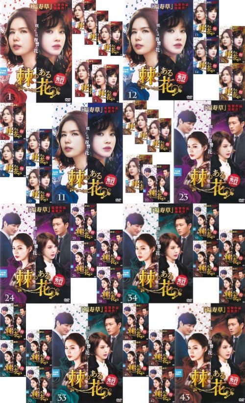 韓国ドラマ　棘のある花　DVD全巻 　福寿草監督作品　レンタル落ち　長編 韓国ドラマ 棘のある花 DVD全巻 福寿草監督作品 レンタル落ち 長編