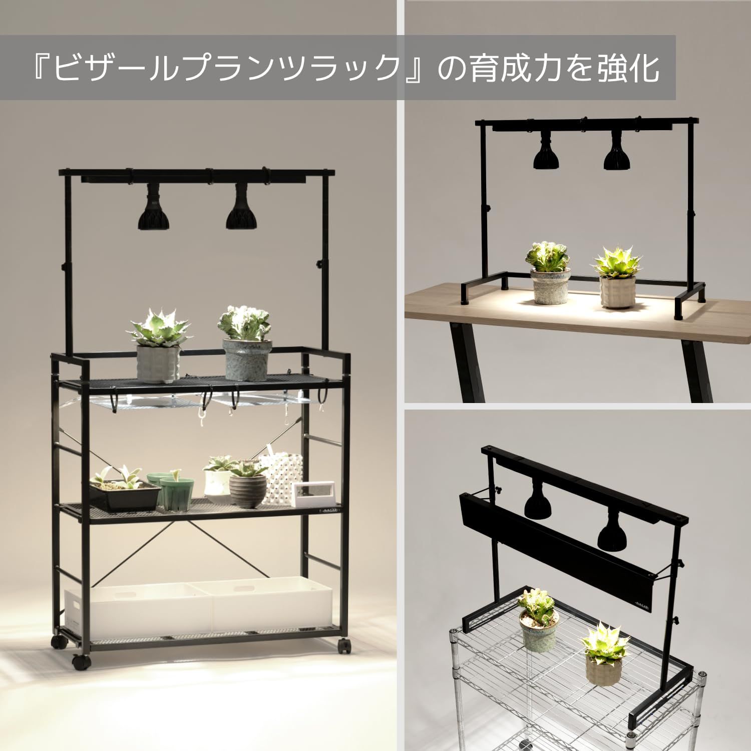 特価商品】BIBILAB(ビビラボ) ビザールプランツライトスタンド