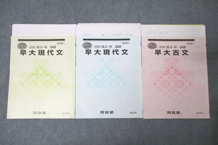2025年最新】早大現代文 河合塾の人気アイテム - メルカリ