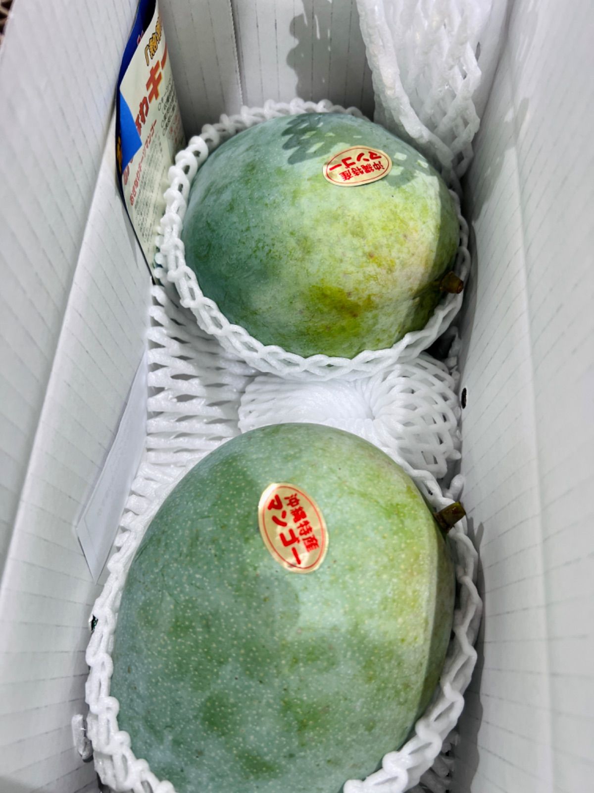幻の沖縄県産