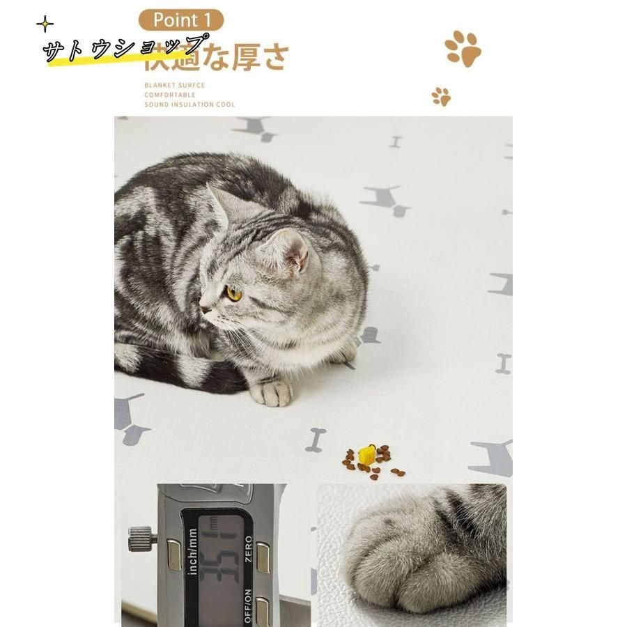 お帰りダッシュ