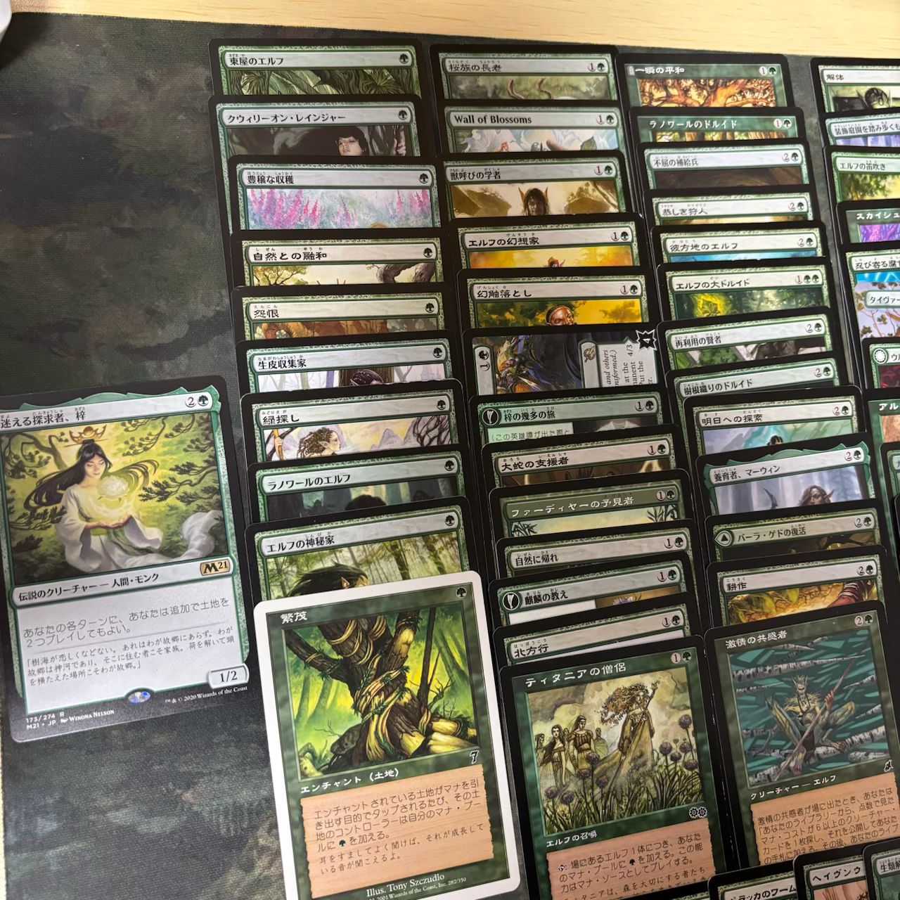 MTG 迷える探求者、梓/Azusa, Lost but Seeking１枚 迷える探求者、梓 (Azusa, Lost but Seeking) · Champions of