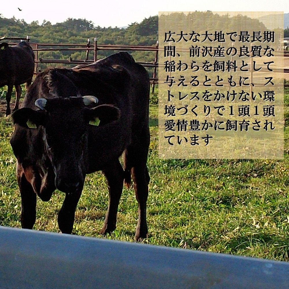 黒毛和牛 鮮やかな霜降り