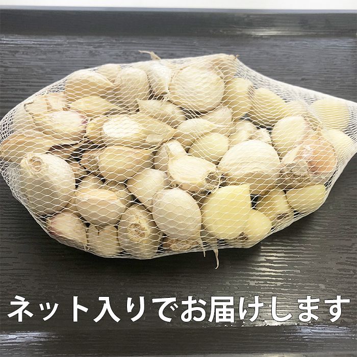 にんにく 訳あり 1キロ(500g×2個) 送料無料 バラ 青森県産 ニンニク 福地ホワイト六片種 ワケアリ 青森 生ニンニク 青森にんにく 国産 ニンニク 訳ありにんにく 大容量 メール便 翌日配達 福地ホワイト ポイント消化 - メルカリ