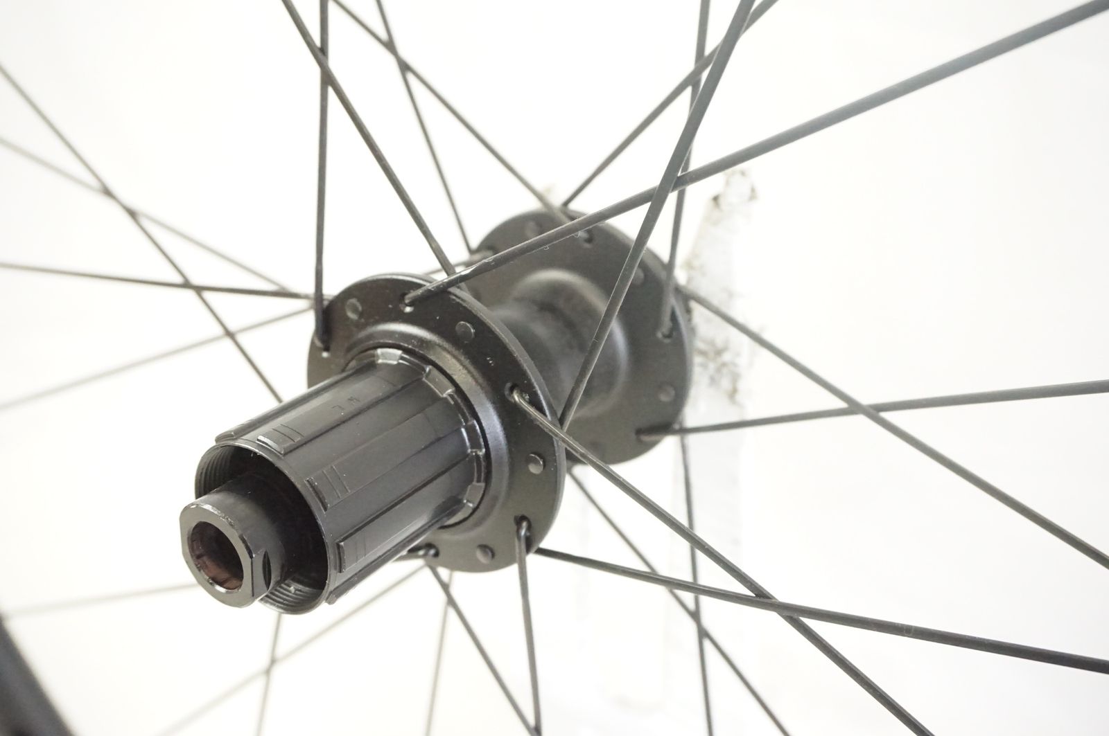 BONTRAGER