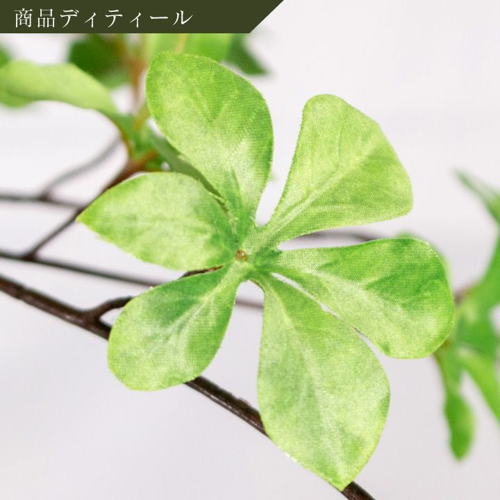 ドウダンツツジ
