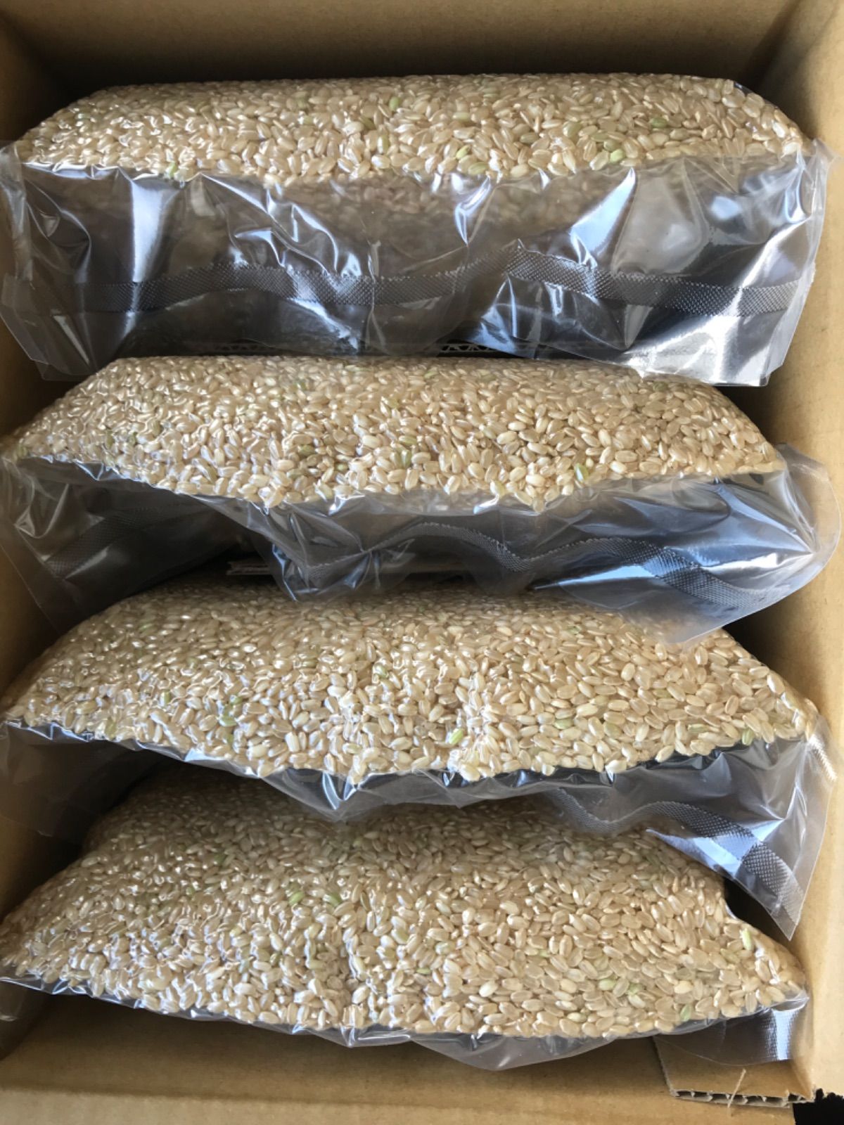 令和5年新米 自然栽培米 玄米20kg 農薬不使用・肥料不使用 コシヒカリ