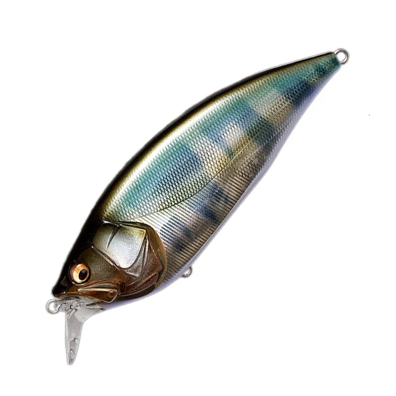 【新品未使用】タイニークラッシュ 琵琶湖銀ハス タイニークラッシュ 琵琶銀ハス drt 未使用 タイニークラッシュ