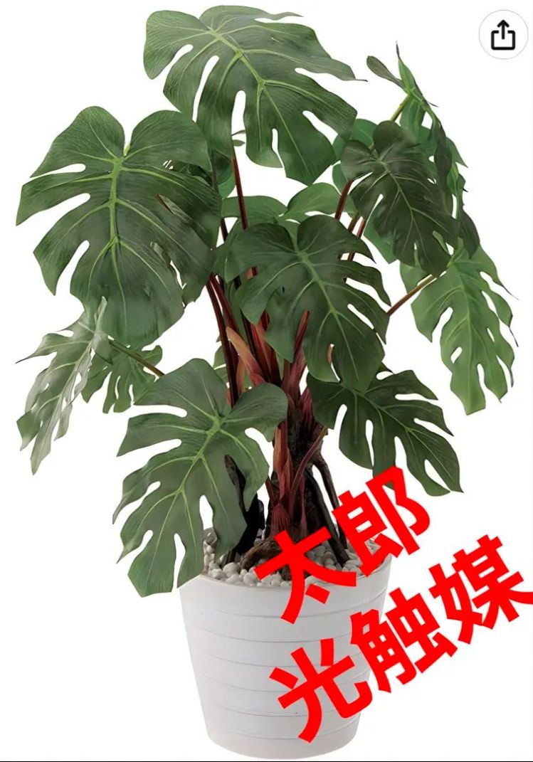 光触媒 人工観葉植物 ウォールグリーン フェイクグリーン フラワー