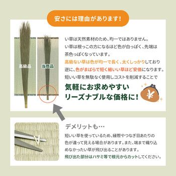 本間3畳 双目織