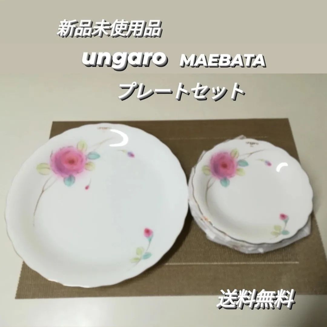 新品・未使用】ungaro ウンガロ プレートセット 大皿1枚・小皿 5枚 1666 - メルカリ