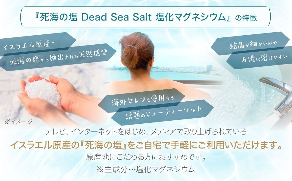NICHIGA／ニチガ公式】〈フレークタイプ〉死海の塩 Dead Sea Salt 3.5