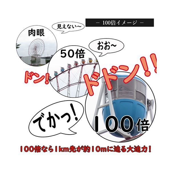 ケンコー セレス