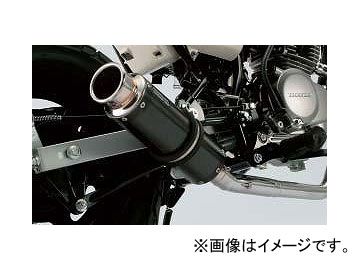 2輪 ビームス SS300カーボン マフラー P031-7998 80.3db ホンダ
