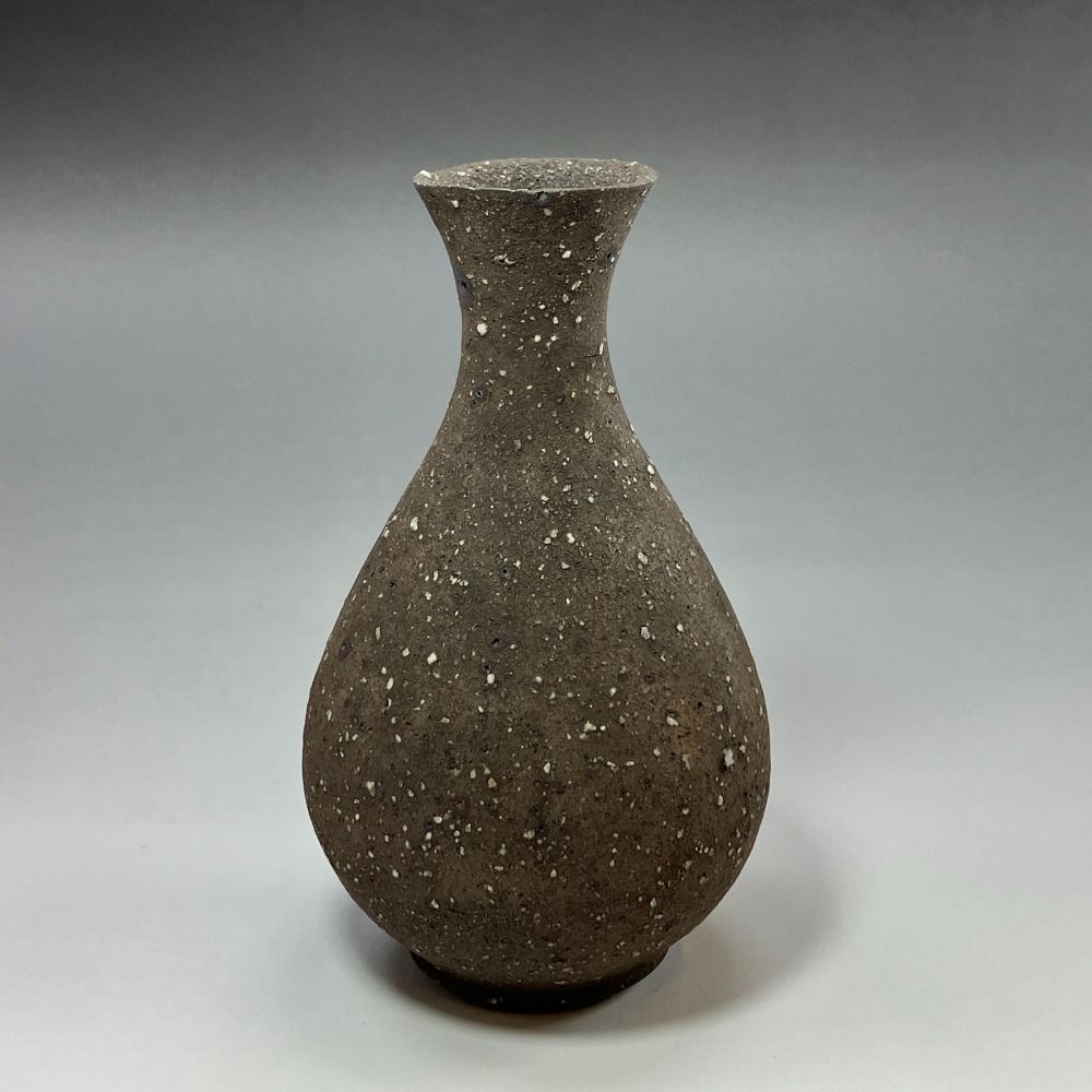 井口大輔 造 黒銹陶徳利 陶磁器 _ 食器