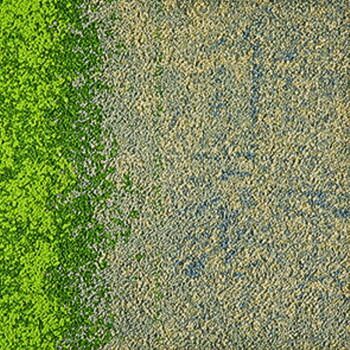 クーポン配布中-スーパー 対象 インターフェイス アーバン リトリート 1 Urban Retreat One UR101 50×50cm 20枚 5m2 7148-005-000 Flax | Grass