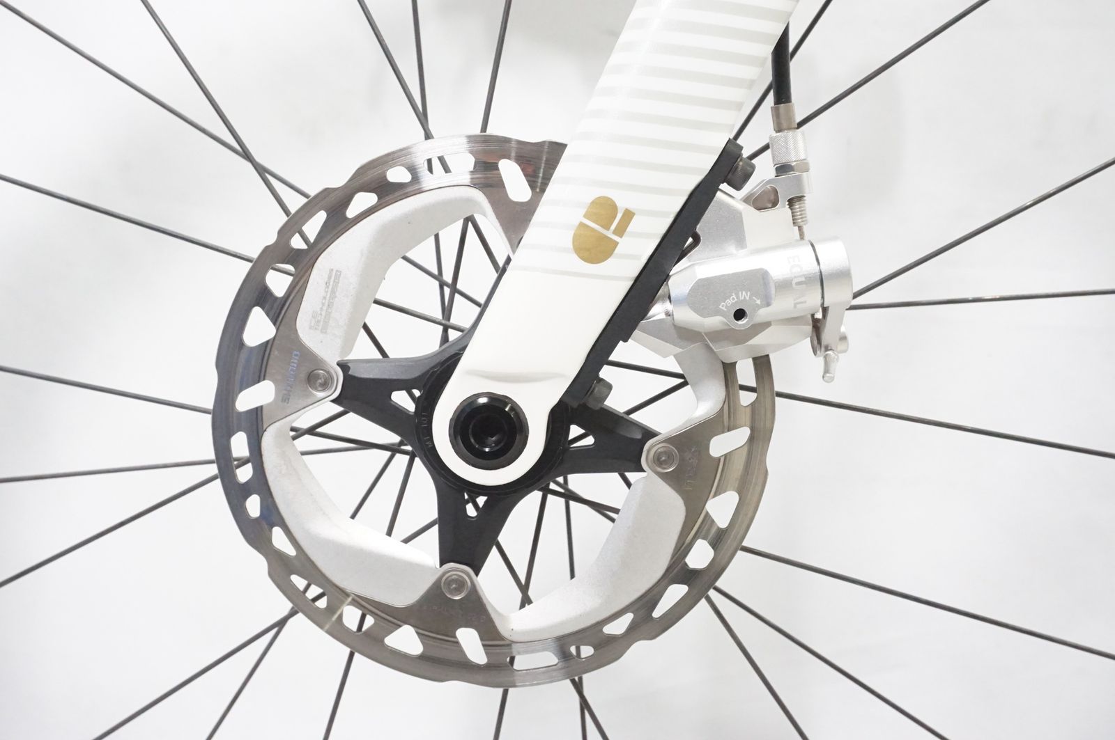 チャプターツー KOKO