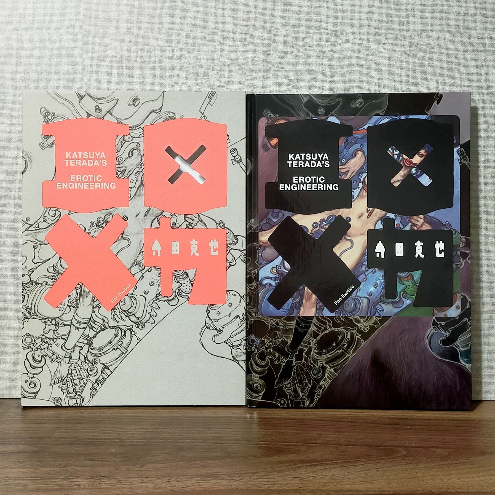 エロ×メカ (パン・エキゾチカ)寺田克也 イラスト 漫画 本 デザイン
