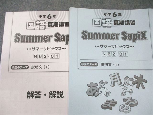 SAPIX 小6 サピックス デイリー/サマー/トレーニング 国語 通年セット 【計99回分】 2024 ★ 300L2D SAPIX 小6 サピックス デイリー/サマー/トレーニング 国語 通年