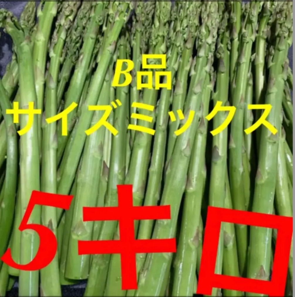 新鮮アスパラ　アスパラガス　5キロ　訳あり 新鮮アスパラ アスパラガス 5キロ 訳あり - メルカリ