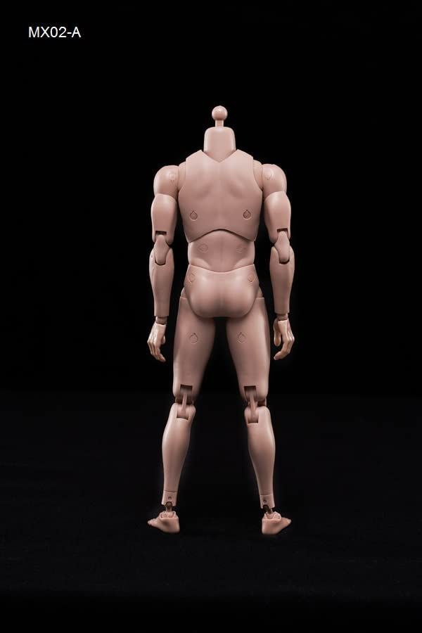 M) 1/6ヘッドスカルプトに適合 筋肉男性ボディモデル 体型モデル
