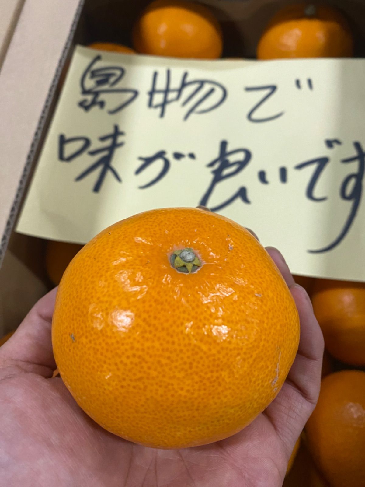 味で絶対喜ばせます 愛媛県産