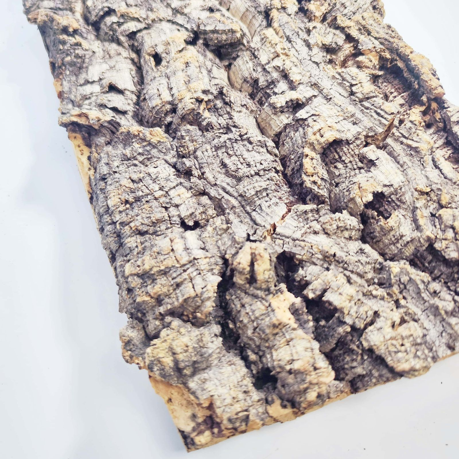 S092 ポルトガル産 厚め コルク樹皮 コルク板 バージンコルク 送料無料