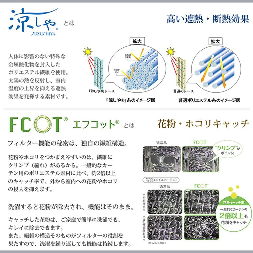 ホワイト カエイレース