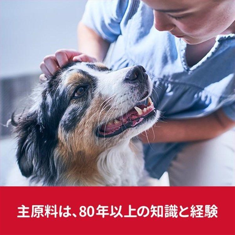肥満傾向の成犬用 12kg