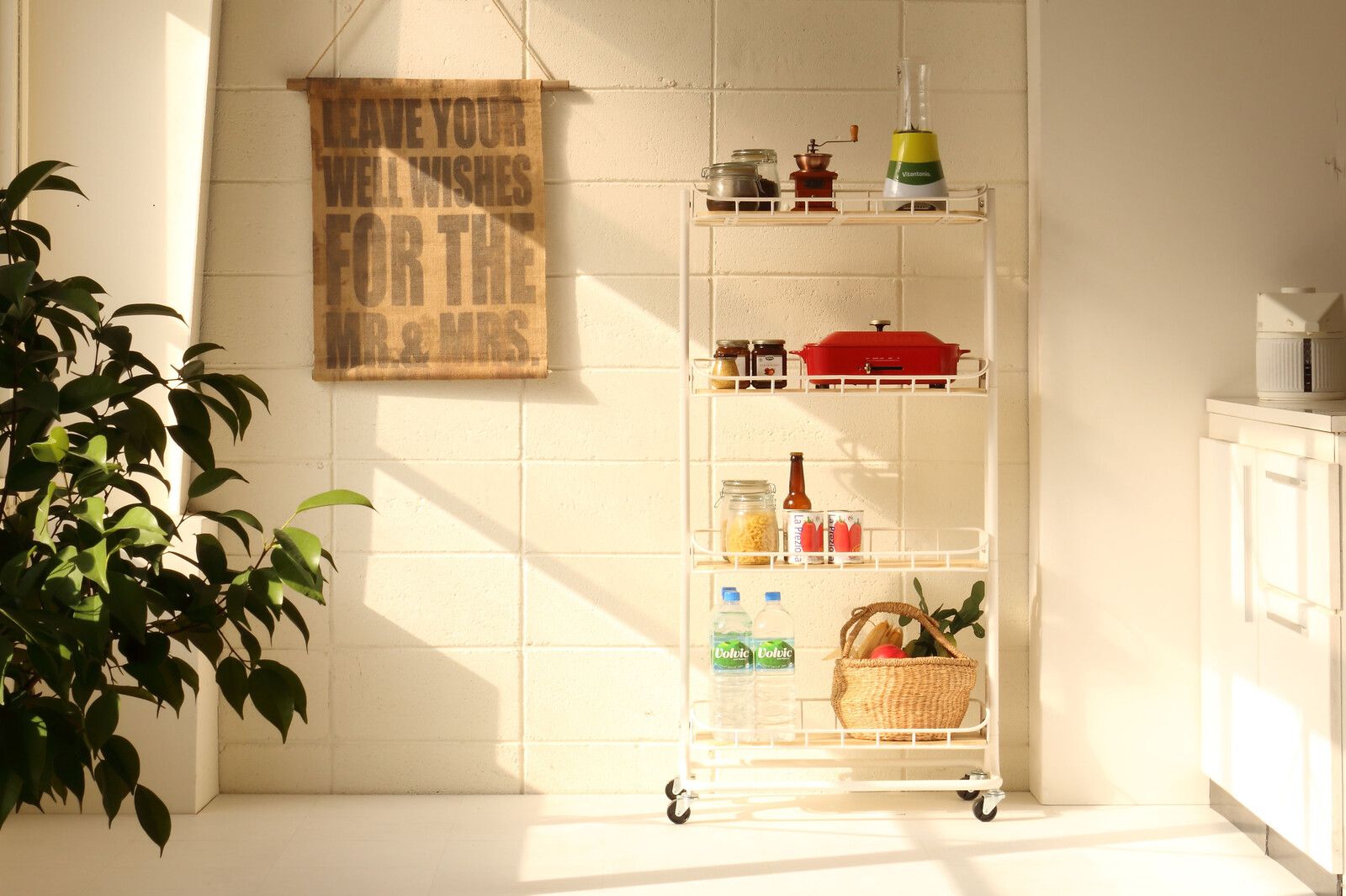 BYケージ ラック Mash