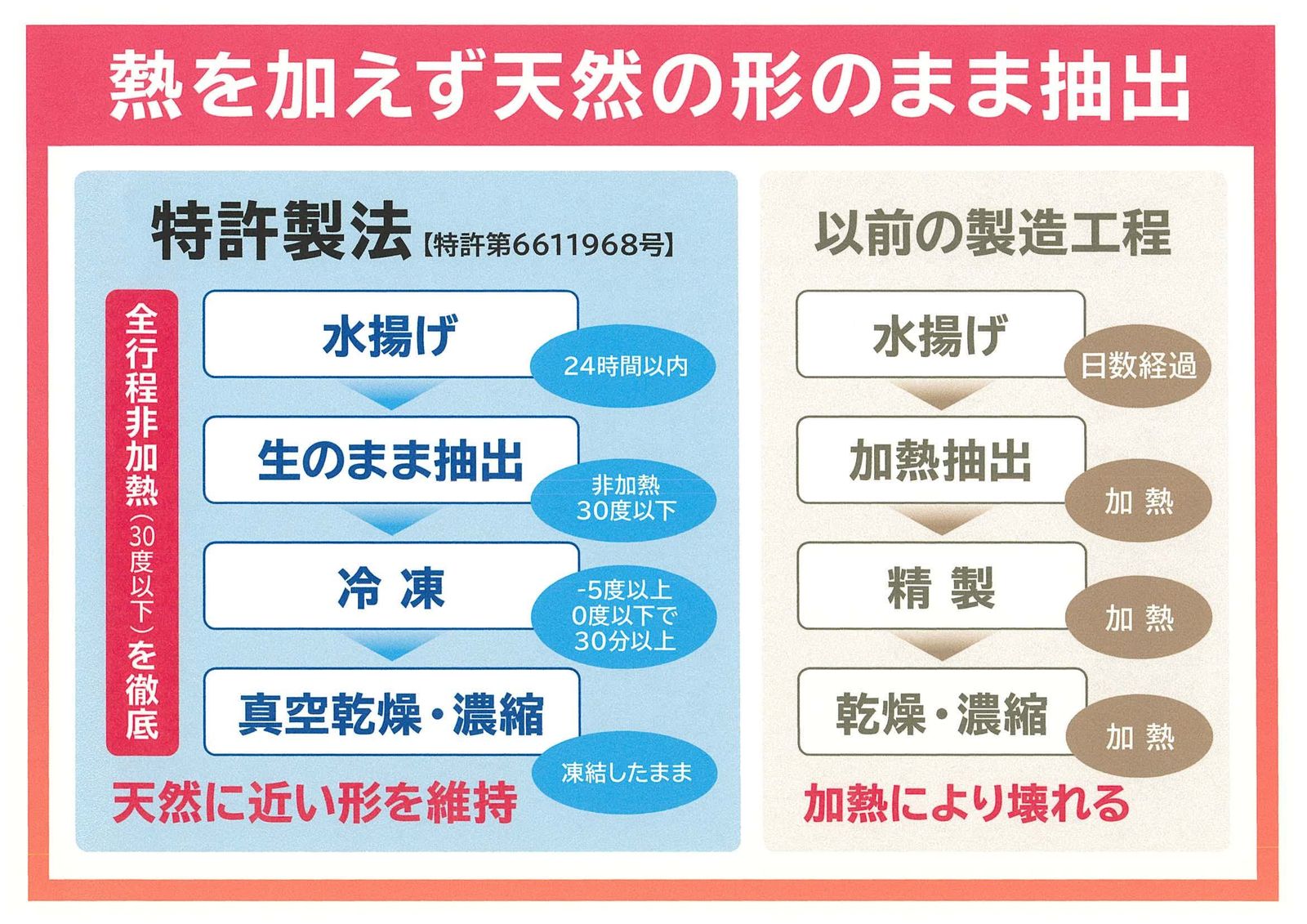 全身美容