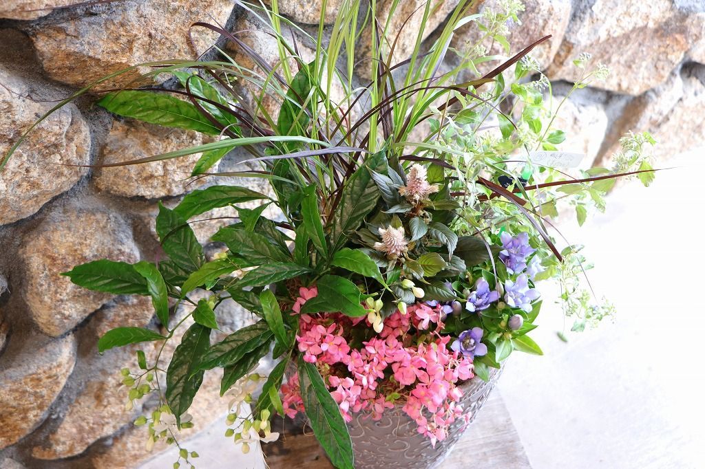 当店オリジナル 秋の草花のエレガントスタイル寄せ植え