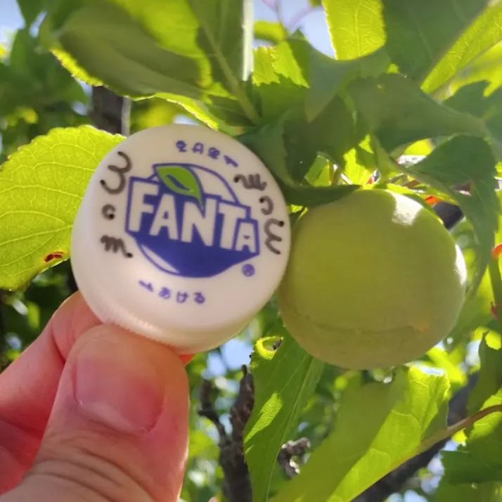 ヨッシー様専用 ヨッシー様専用 よっしー様専用 よっしー様 専用ページ