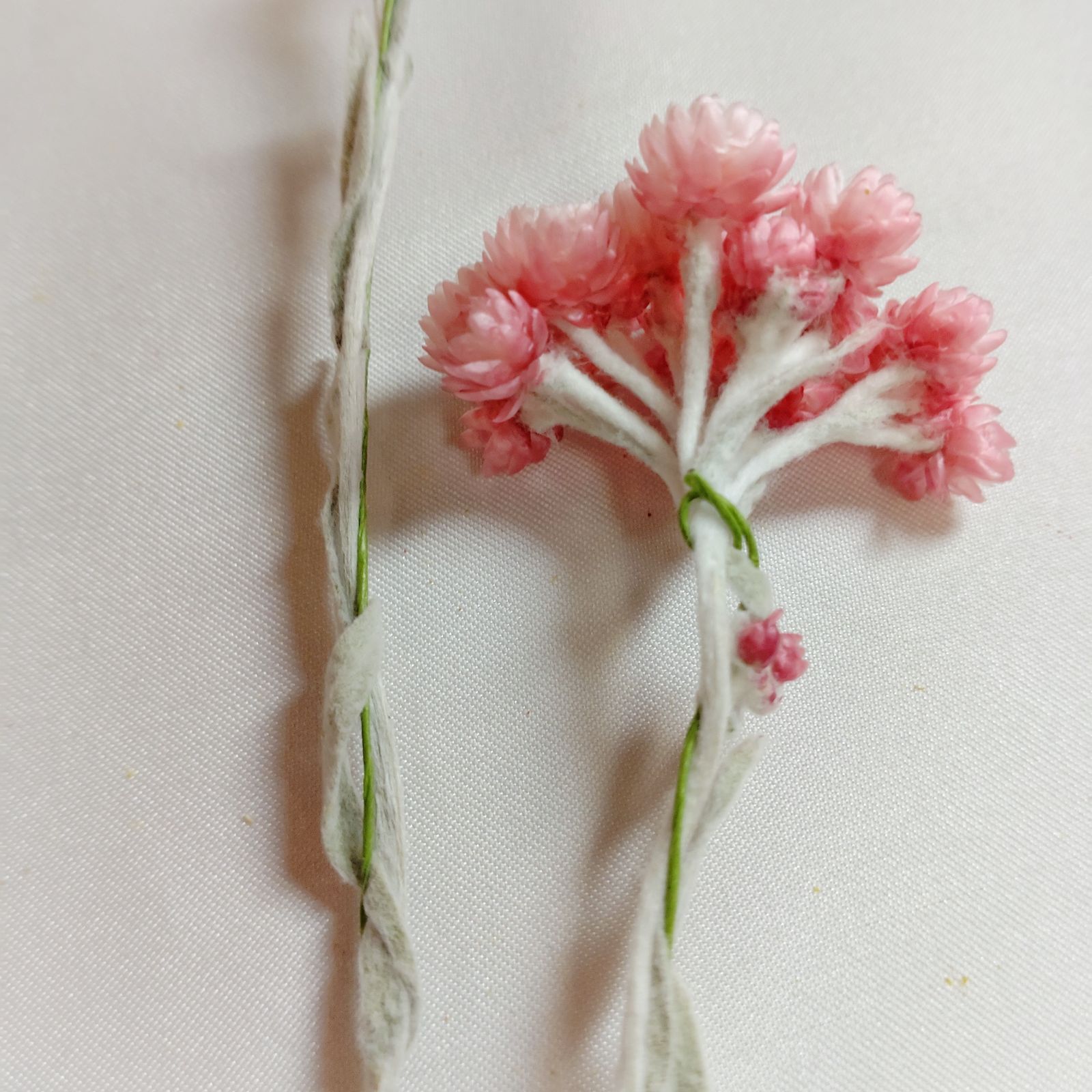 ドライフラワー訳ありルビークラスター