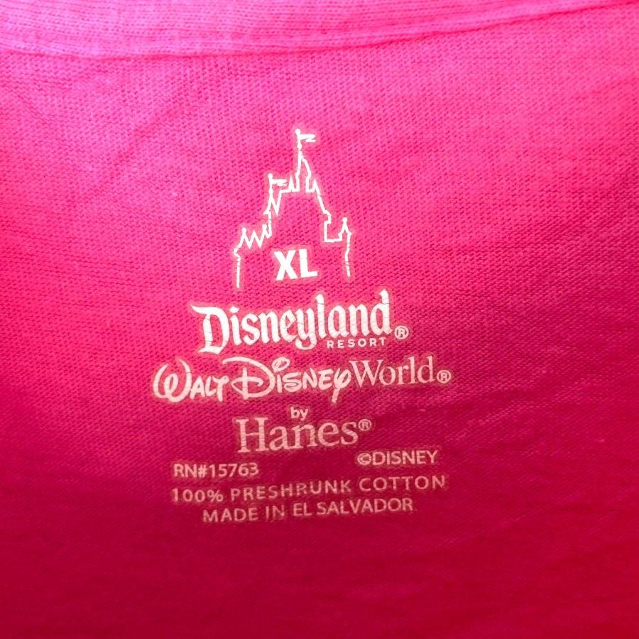 海外限定！ウォルトディズニーワールドWaltDisneyworld