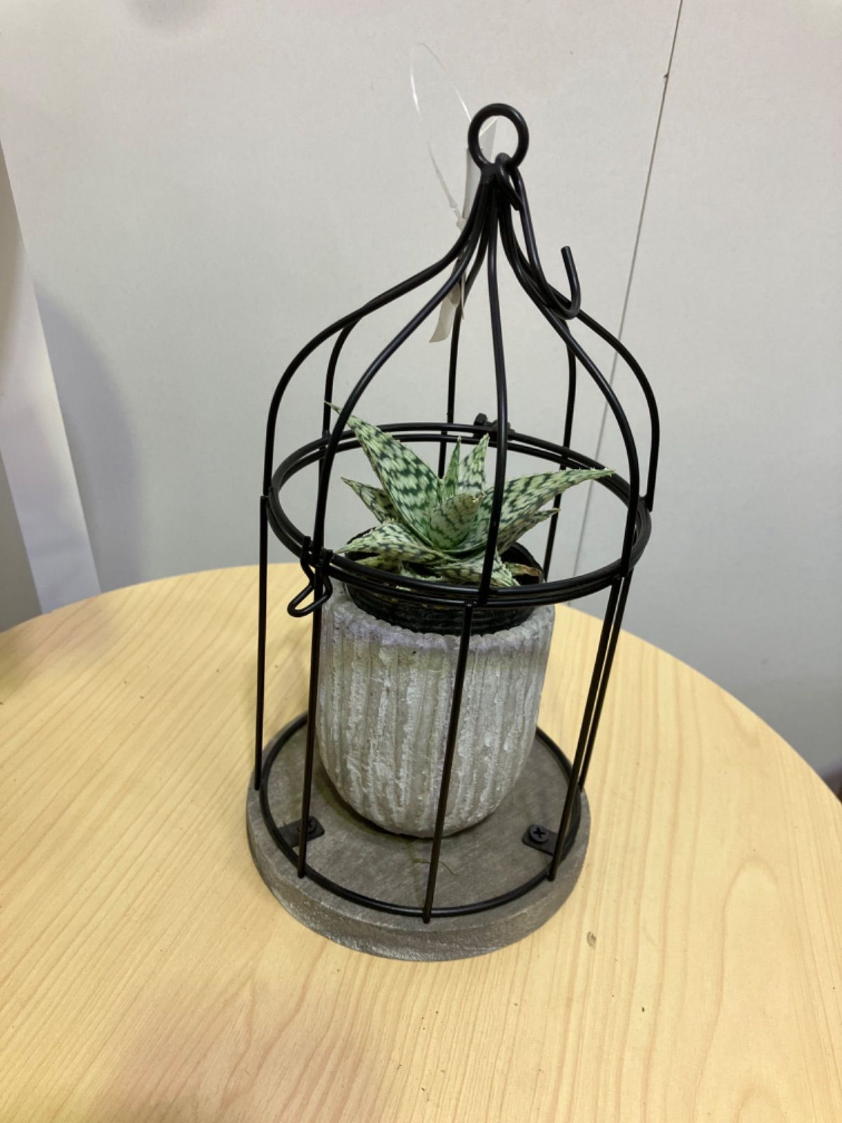 アロエ・ブリザード　多肉植物　鳥籠　オブジェ　置物　ガーデニング　オシャレ　シンプル　観葉植物　多肉植物　アンティーク　可愛い　置物　オブジェ　インテリア　リビング　ガー