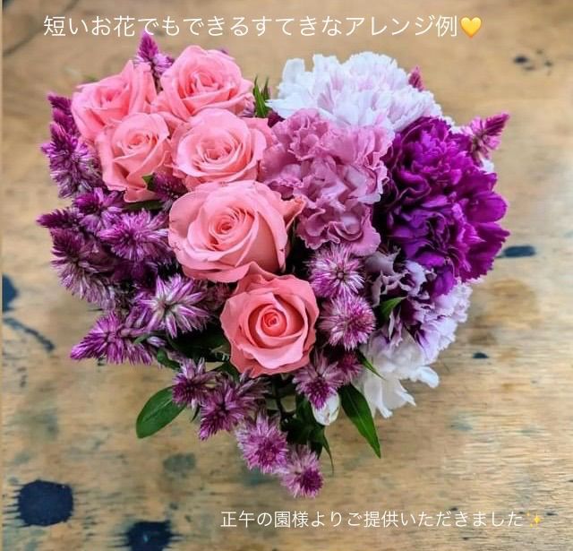 ☆2025準備中☆カーネーション 規格外品 品種MIX 80サイズ箱