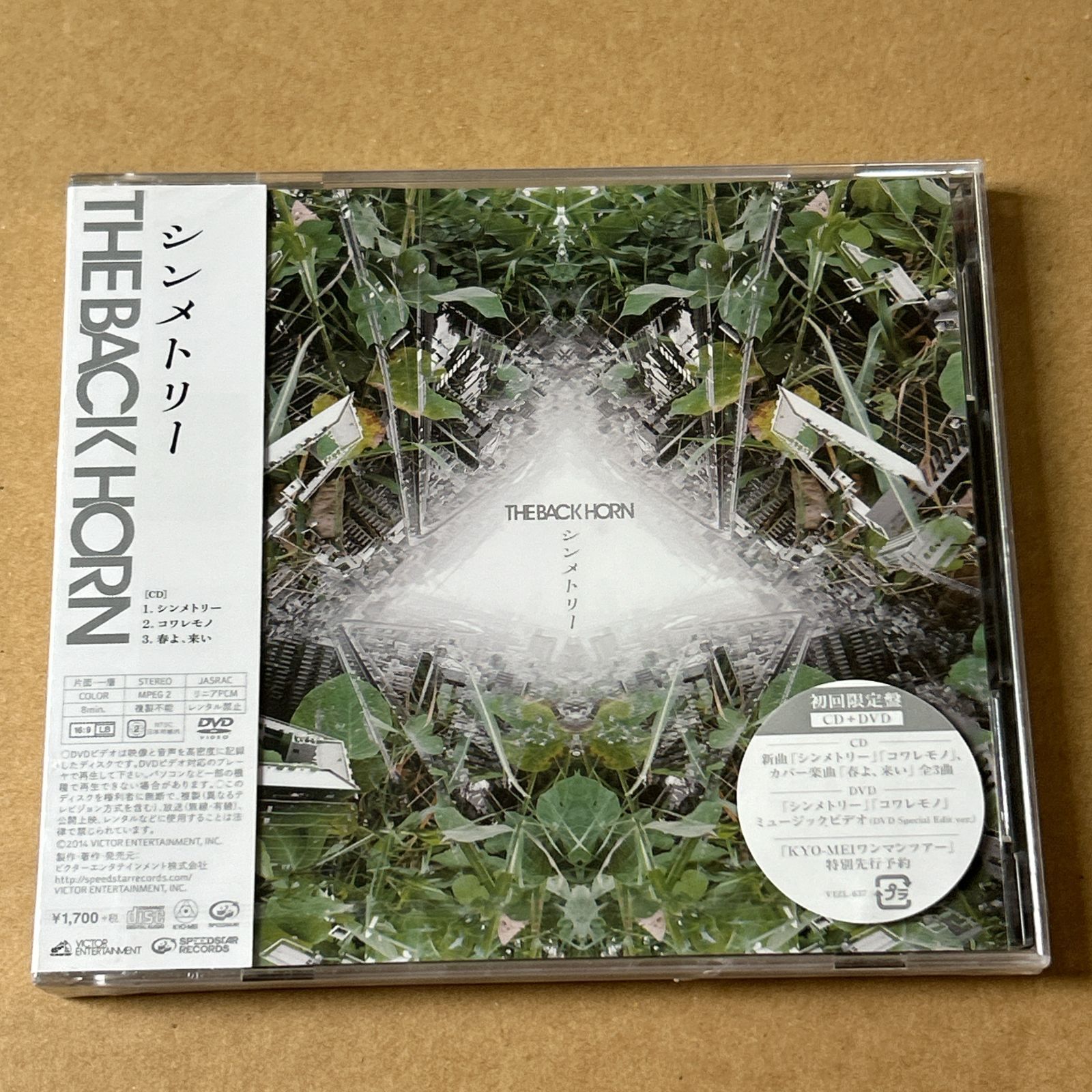 シンメトリー コワレモノ 初回 盤 THE BACK HORN CD
