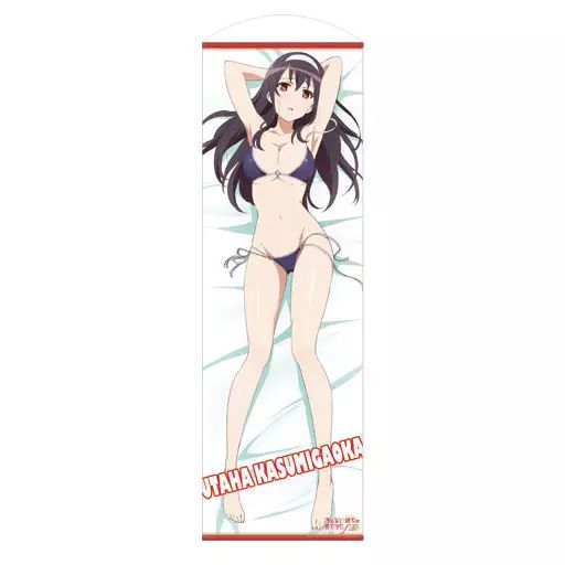 格安，限定SALE 【中古】タペストリー 霞ヶ丘詩羽(水着Ver.) 160cmロングタペストリー 「冴えない彼女の育てかた Fine」 タペストリー