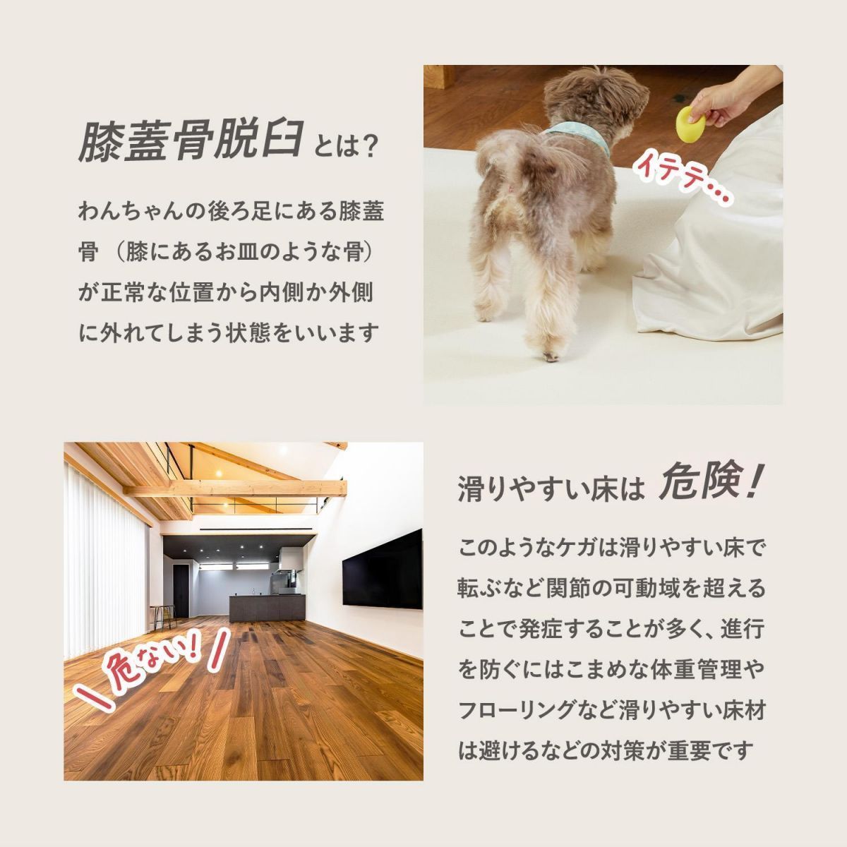 ペットマット床暖房対応滑らない防水お手入れ簡単ドリドリマットペット用滑り止め防水シート怪我防止ゲージマット拭けるペット床材フローリング防水マット防滑PVCマットかわいいおしゃれマットPVC180cm140cmhwn02