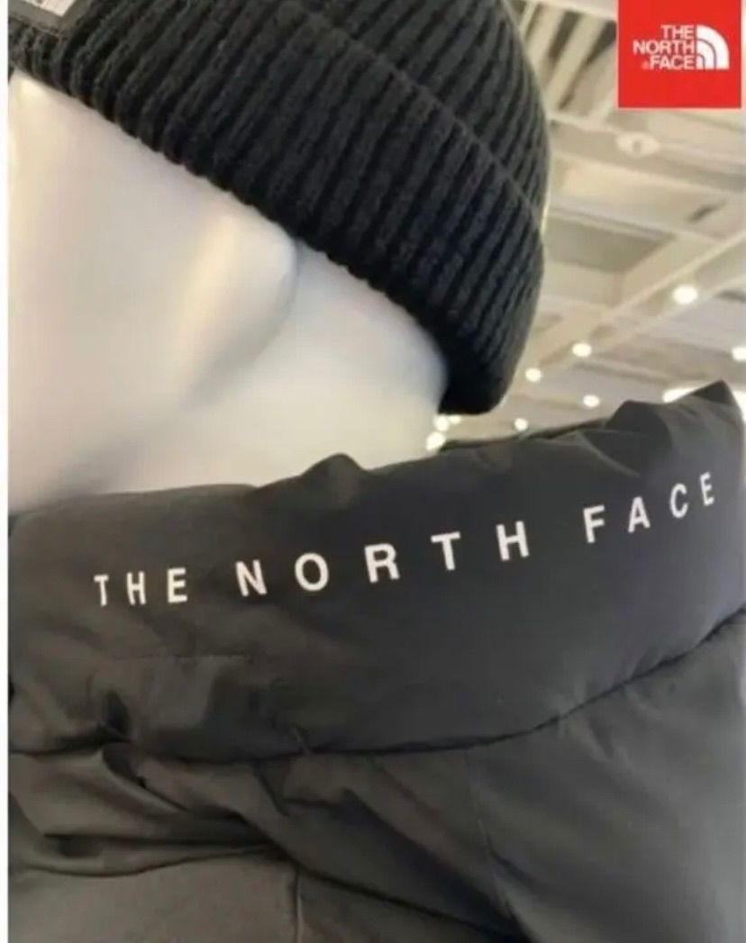 新品タグ【Lサイズ】【XLサイズ】THE NORTH FACEFREE MOVE DOWN JACKET