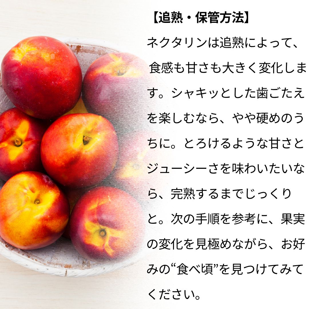 ネクタリン〜訳あり品詰め合わせ〜【内容量】約3kg【配送方法