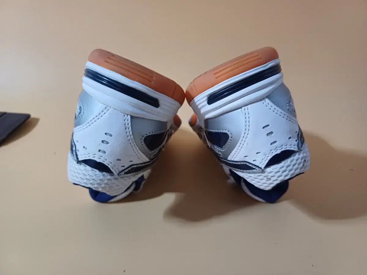 ロッテ