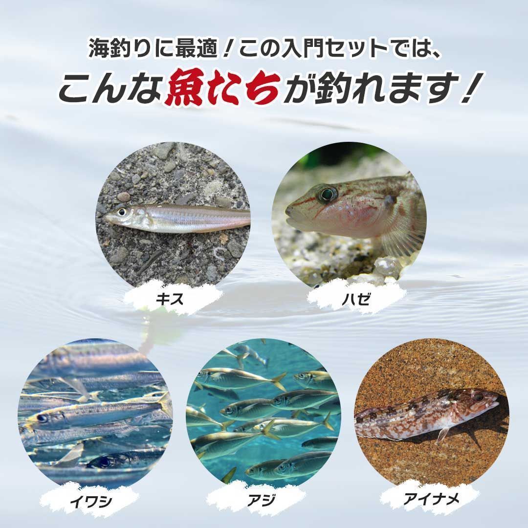 訳あり】【汚れあり】入門セット 釣具 一式セット 小型 アユ イワナ 